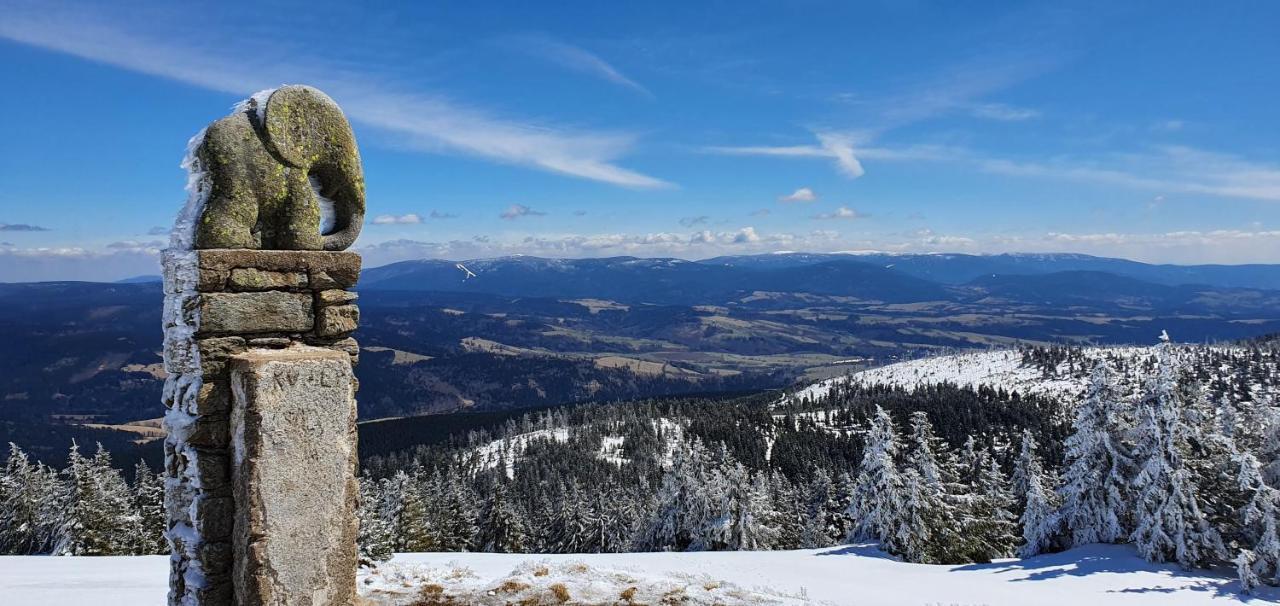 Apartman U Nas Na Dolni Morave Dolní Morava Buitenkant foto